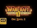 Warcraft 2 Beyond the Dark Portal Walkthrough | Orc Level 2