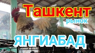 Узбекистан  Ташкент рынок Янгиабад Tashkent