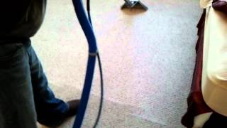 Interior Specialist Carpet Cleaning