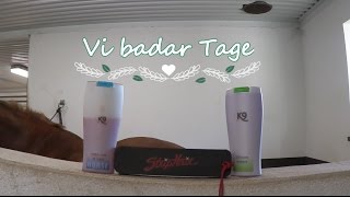 Vi badar Tage