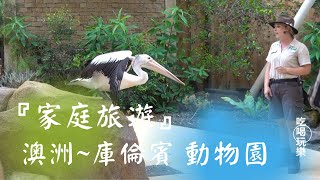 澳洲可倫賓野生動物保護園區鳥類表演|Bird Show in Currumbin Wildlife Sanctuary, Australia|家庭旅遊紀錄