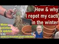 How to & Why to Pot, Repot Cacti in Winter | #cactuscare #pottingmix #cacti #succulentcare #potting