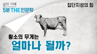 집단지성의 힘, 황소의 무게는 얼마나 될까?ㅣ삶의 지혜 5분 The 인문학