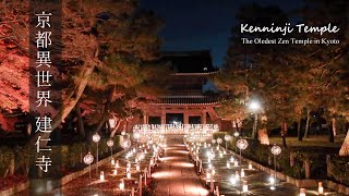 京都最古の禅寺 建仁寺 Kenninji, the oldest Zen temple in Kyoto   紅葉とライトアップ night view SONY ZV-1