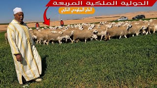 حصريا أو ظهور للكساب المخضرم الحاج الميلودي النازي،حولية ملكية و فحول تسر الناظرين