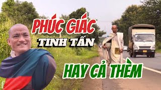 Phúc Giác Liệu Có Tinh Tấn thực tu hay cả thèm #thichminhtue #lekhagiap #doanvanhau #phucgiac