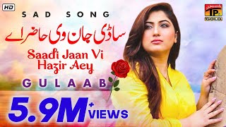 Gulaab | "Sadi Jaan" |  Latest Punjabi Songs | TP Gold