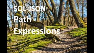 SQL-JSON Path Expressions