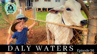 Ep.36 Back to the NT - Daly Waters