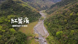 紅葉溪 / 萬榮鄉。瑞穗林道起點 / 下方溪谷｜空拍EP58