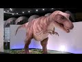 恐竜digest🦖dinosaur🦕musium comparison　愛媛　丹波　京都　子供が好きだけど怖い！