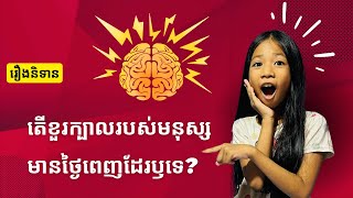 Does the human brain have a full day? តើខួរក្បាលរបស់មនុស្សមានថ្ងៃពេញដែរឫទេ?#cambodia #tika