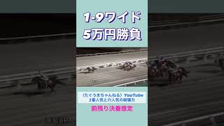 〈人気馬と穴人気の破壊力〉#地方競馬