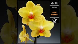 Daminika - In the Morning (Original Mix)