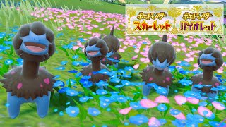 【可愛い】モノズ６匹に囲まれて癒されピクニック【ポケモンSV】