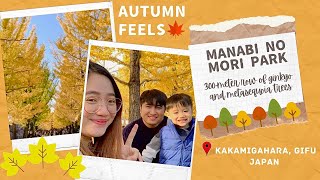 AUTUMN FEELS (Manabi no Mori Park) | Kakamigahara, Gifu Japan