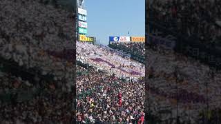 膳所高が甲子園出るってよ