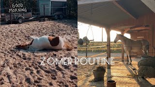 Dag routine met paarden aan huis🏠 || Zomer editie!