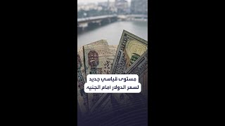 سعر الدولار في مصر يواصل تسجيل مستويات قياسية جديدة.. وخبراء: \