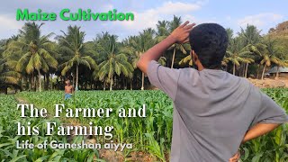 Maize \u0026 Coconut Cultivation || சோளம் மற்றும் கூடுதலாக தென்னை விவசாயம் ||  கணேஷன் ஐயா அறிவுரை❤️