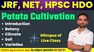 Potato Cultivation | JRF, NET, HPSC HDO 2023 | BR Dall Sir | Online Agriculture App