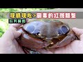 I caught a bunch of highly poisonous crabs in the sea, the point is that I still ate them all