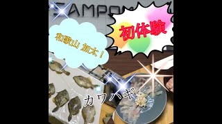 和歌山加太で！！カワハギ釣り！！初体験