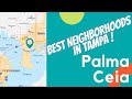 Best Neighborhoods in Tampa | Palma Ceia