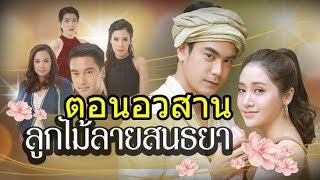 ลูกไม้ลายสนธยา ตอนอวสาน  | ละคร ช่อง7 | เรื่องย่อละคร