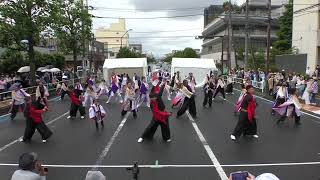 【4K】颯舞龍(IZUMO) 相模原若葉まつり 3