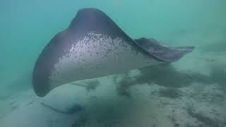 Playful rays at Rye