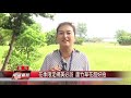 桃園 花海 花季限定網美必訪 蘆竹草花超好拍