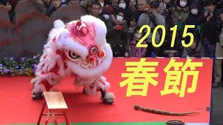 春節で賑わう横浜中華街、武術あり、獅子舞あり、冷たいフカヒレまんあり