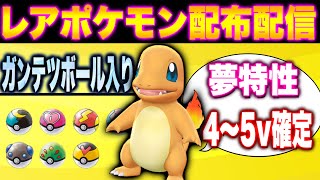 【ポケモン配布】ラブボ夢特性ポッチャマ　ムンボ入り夢特性アチャモ、ニドラン　サファボマリル　配布　４～５V【ポケモン／ブリリアントダイヤモンド・シャイニングパール／BDSP】】