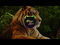 TIGER DROOL - TIGER [Bass Boosted]