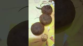 সত্যি এরকম ভুল হবে বুঝতে পারিনি😭#views#like#foodies#cooking#bengalivlog#minivlog#subscribe#yt#1ksubs