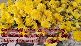 செவ்வந்தி பூவை இப்படி வெச்சு பாருங்க/sevanthi poo storage tips /tips/flower storage tips/flower tips