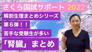 【この１本で腎臓の要点をおさえる！】解剖生理まとめ⑥「腎臓」【さくら国試サポート】