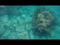 山陰開幕！　vs石鯛黒鯛スズキ青物　関西お魚突き40　spearfishing polespear