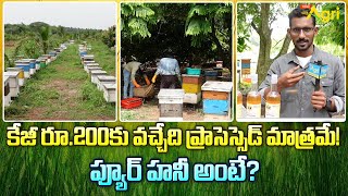 Honey Bee Farming Information | కేజీ రూ.200కు వచ్చేది ప్రాసెస్సెడ్ మాత్రమే! | Tone Agri