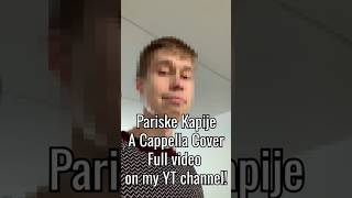 🇫🇮Finnish Man Singing in Serbo-Croatian🇭🇷🇷🇸🇧🇦🇲🇪 | Pariske Kapije Haris Džinović Cover