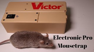 Victor Electronic Pro Mousetrap. Mousetrap Monday.