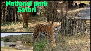 Bannerghatta National Park Safari || Amazing jungle Safari || Travel vlog Malayalam| Banglore| part2