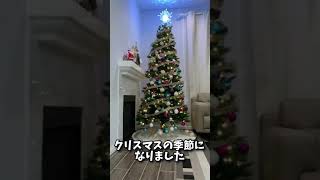 【Christmas Tree】クリスマスの季節です