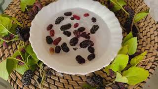 mulberry syrup recipe