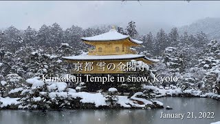 京都 雪の金閣寺/Kinkakuji Temple in snow,Kyoto