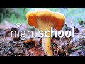 NightSchool: Fungi Underground