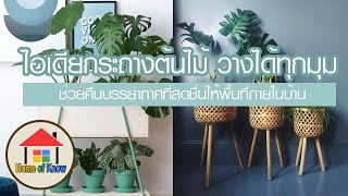 ไอเดียคืนความสดชื่นให้บ้านด้วยกระถางต้นไม้วางได้ทุกมุม | Home of Know