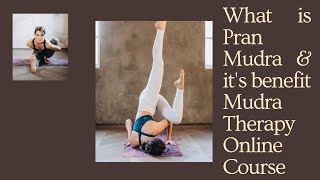 what is pran mudra and its benefits | how to do pran mudra ultimate guide