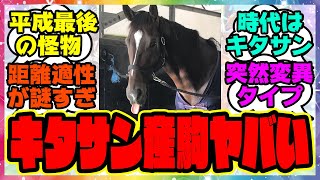 『キレキレの馬を出すキタサンブラック』に対するみんなの反応集 まとめ ウマ娘プリティーダービー レイミン